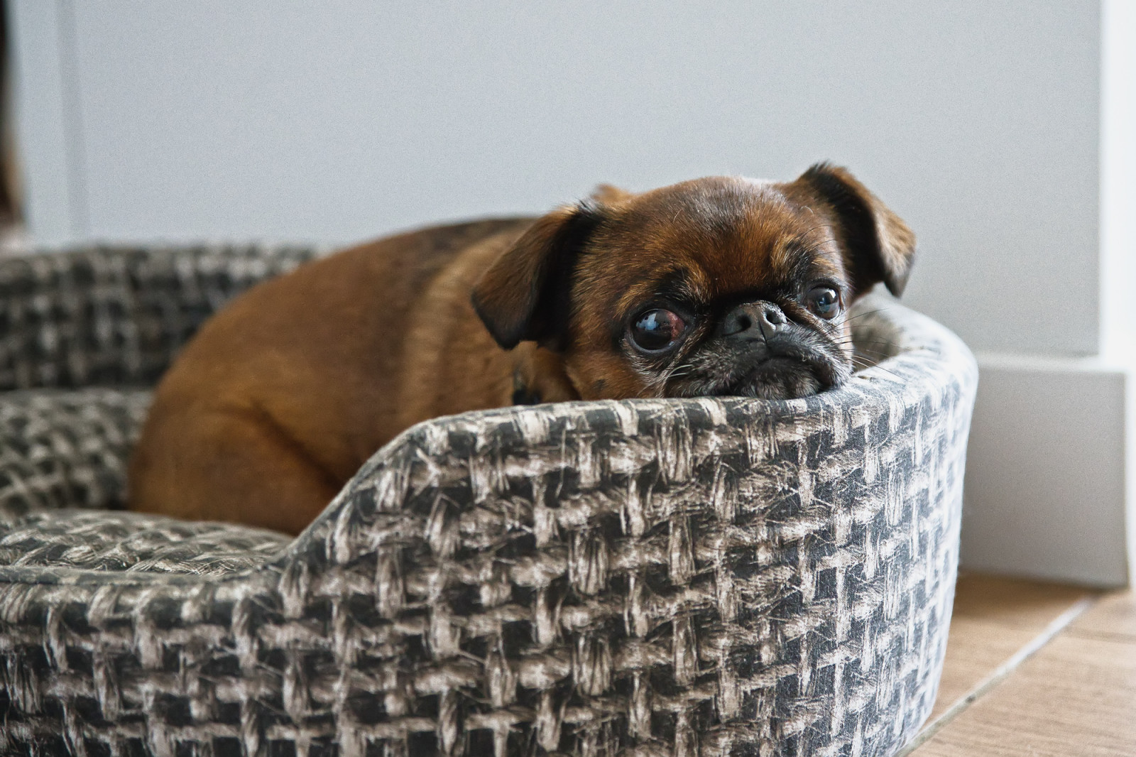 Квартира на Циолковского