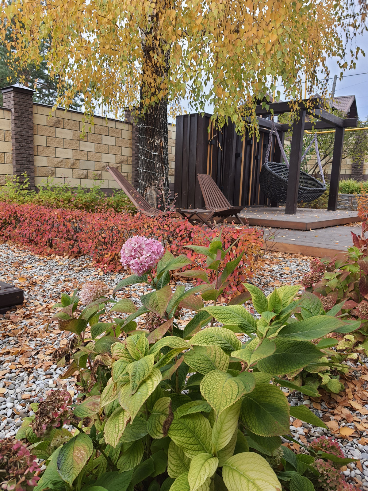 Сад с розами