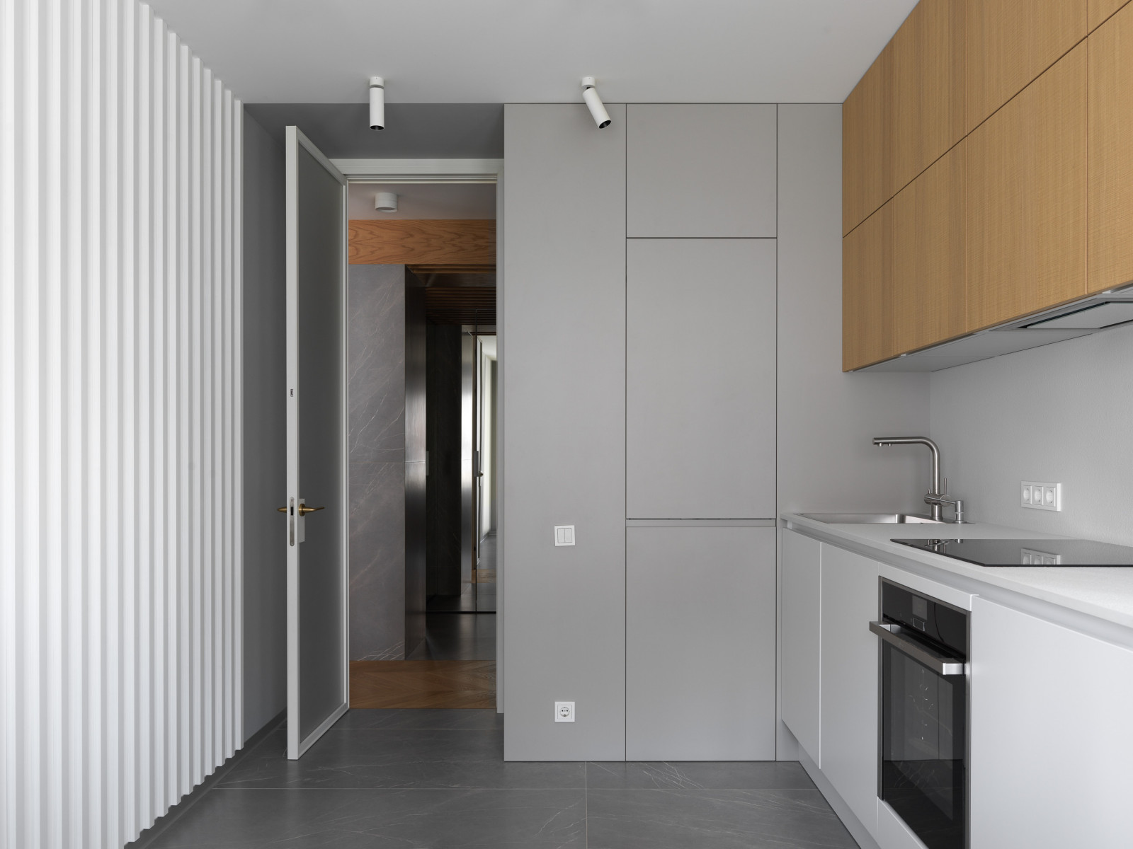 Проект Лебедь