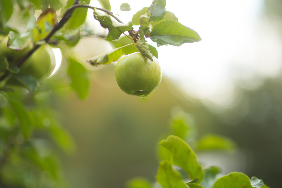 Регулярная классика