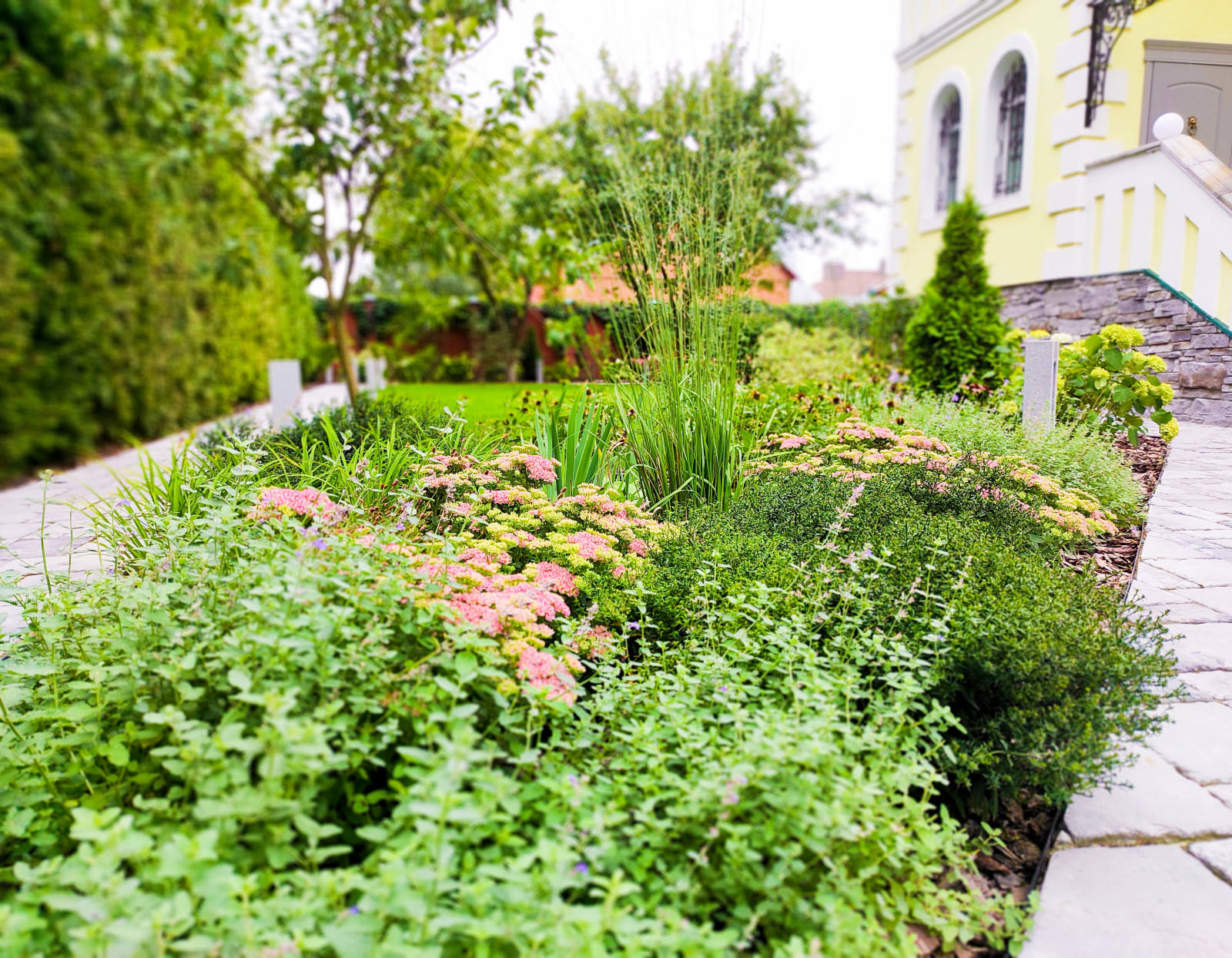 Долгопрудный, 2020 г.