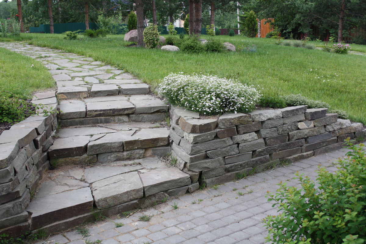 Новое Токсово 1