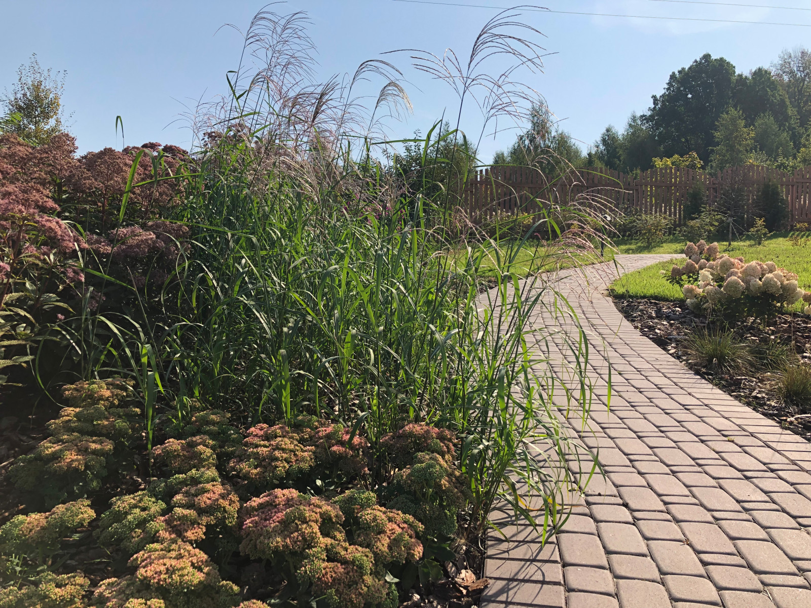 Якшино. Осень 2019