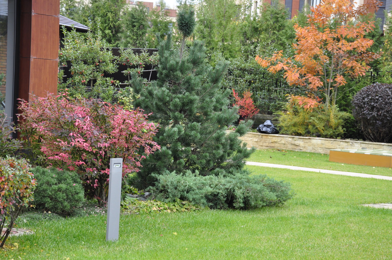 кп "Фортопс" - Профессиональный уход за садом - 100% качество!