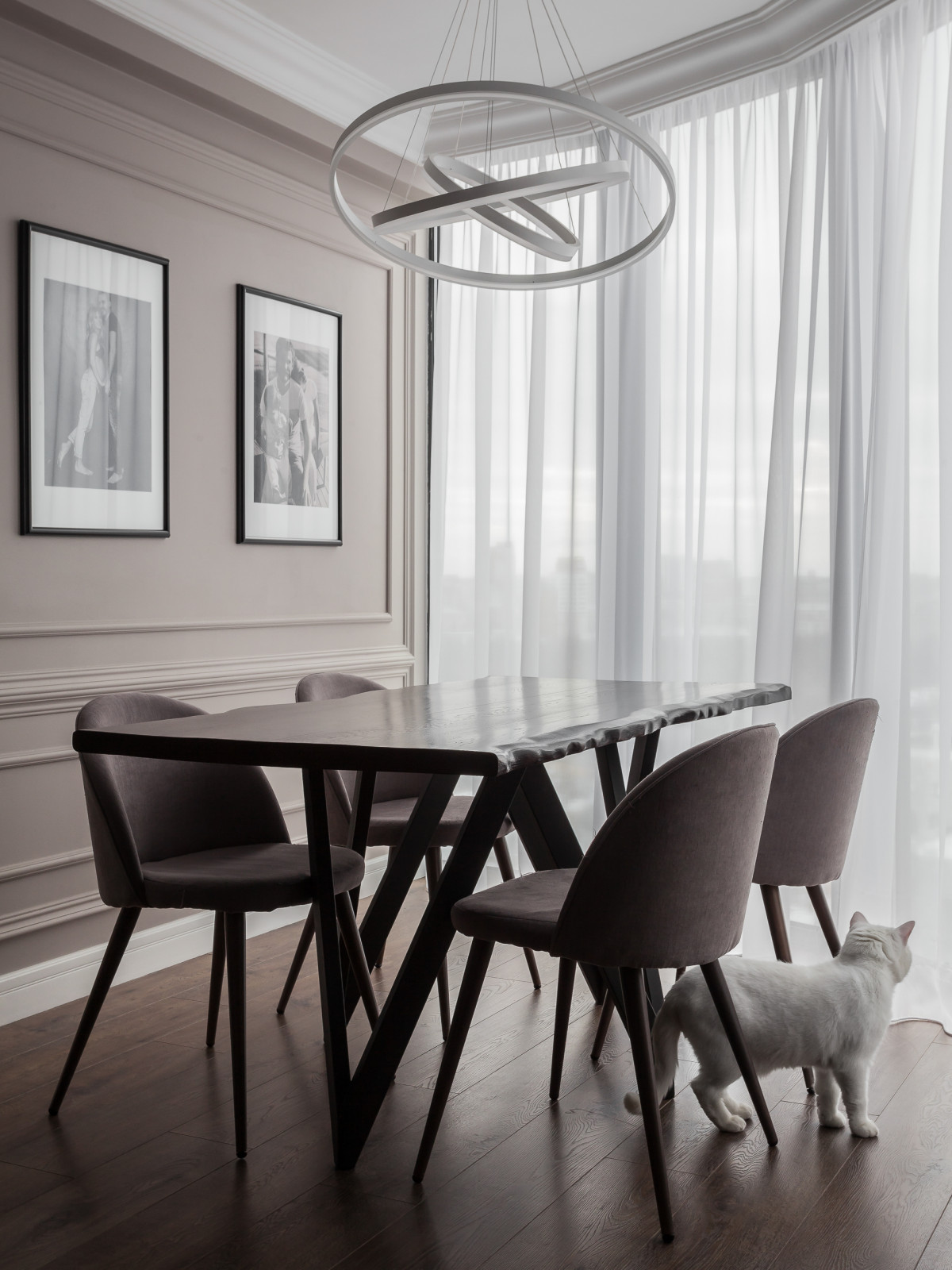 Квартира с двумя белоснежными котами