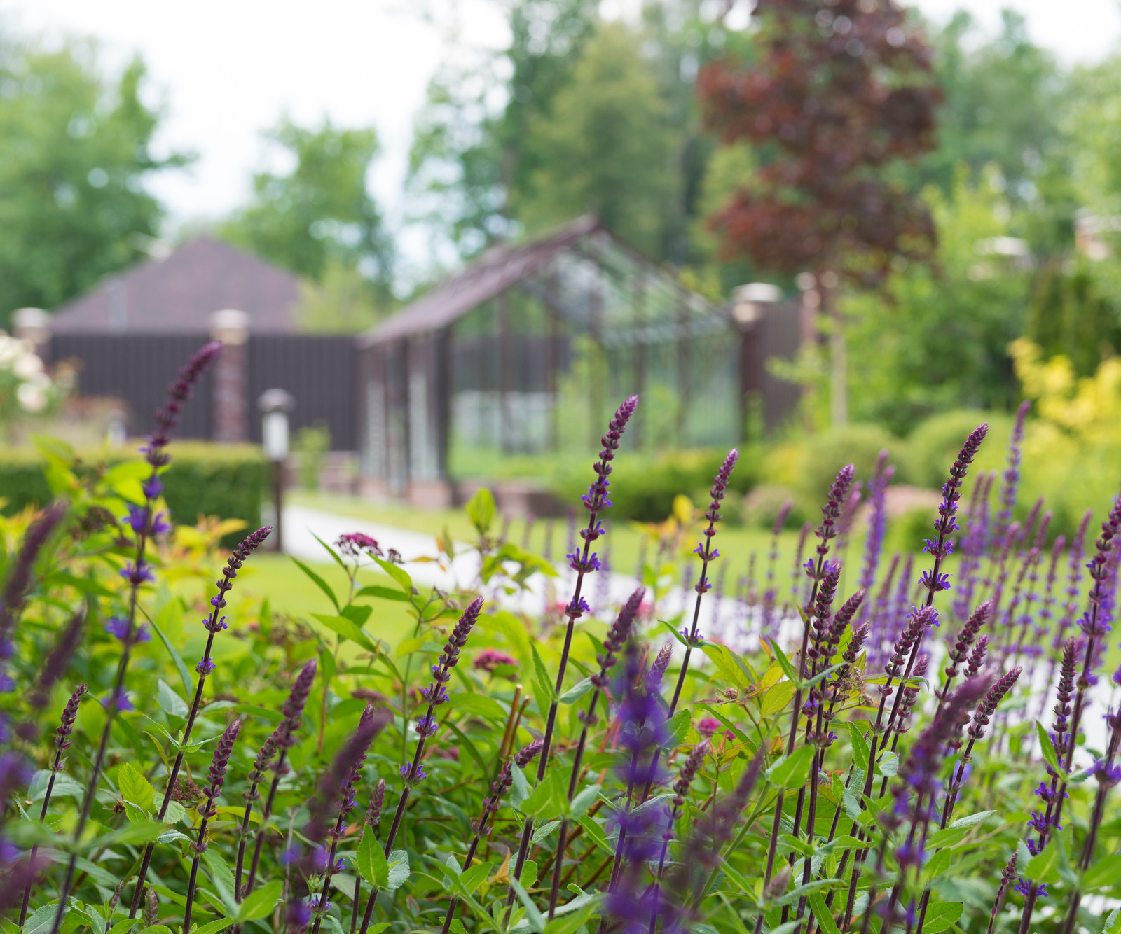 Летова роща