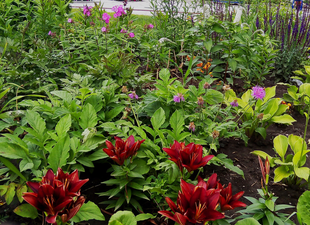 Цветники на территории храма