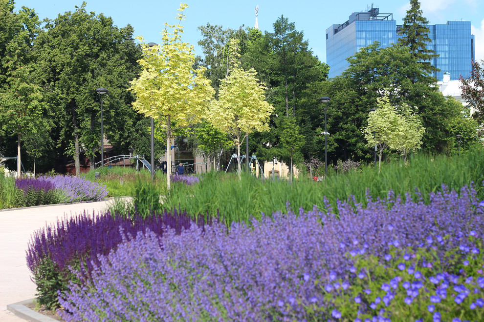 Цветники Советской площади