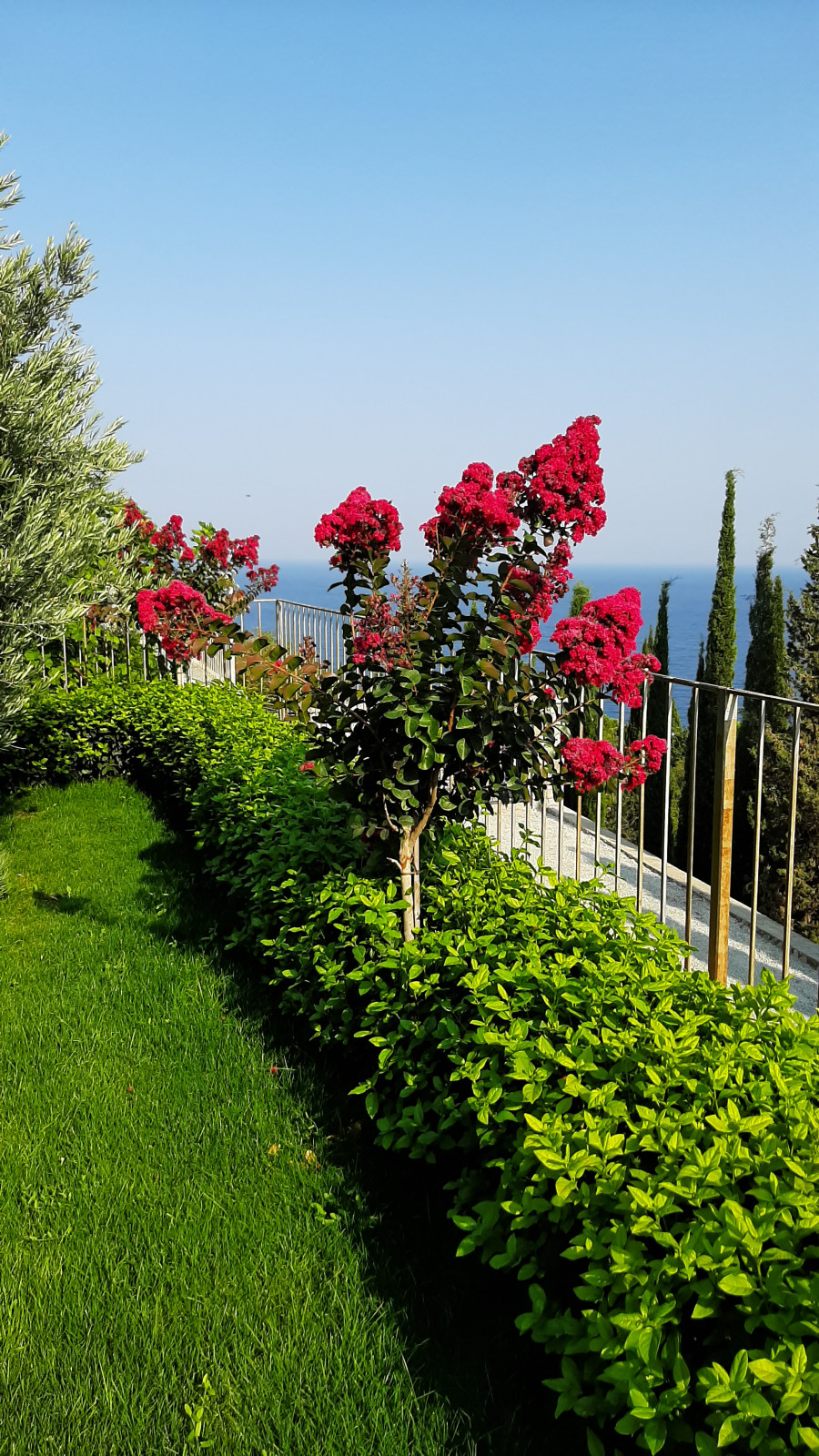 Ландшафтный дизайн