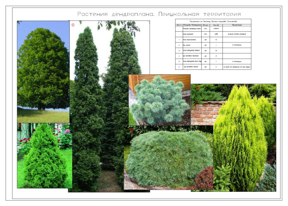 Куркиёки. Школа