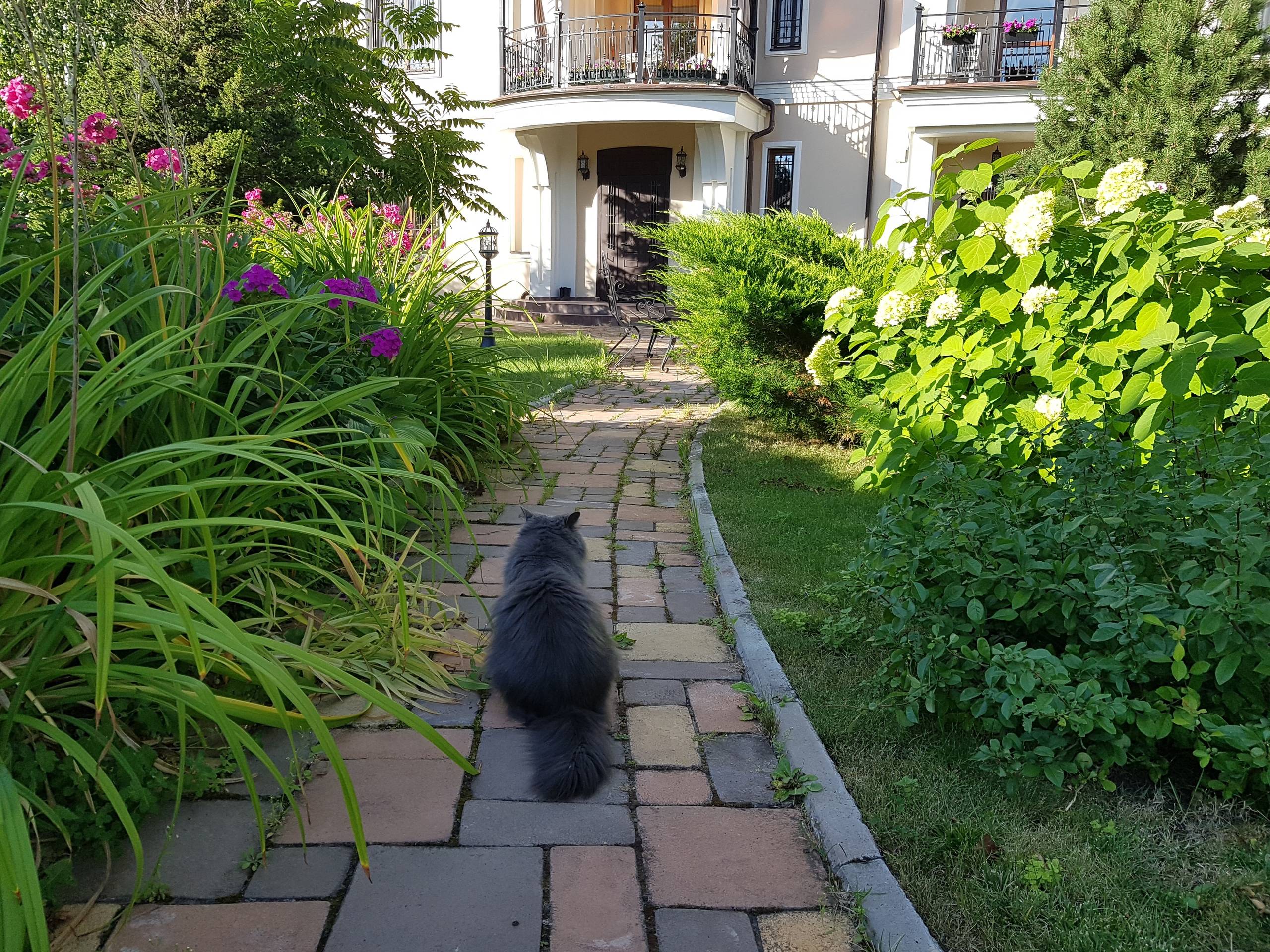 Проект недели: «Итальянский» сад с расписной лоджией при гараже