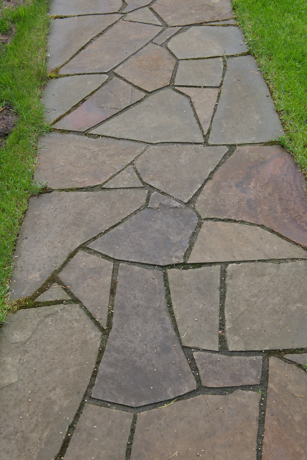 Обложка альбома: Садовые дорожки