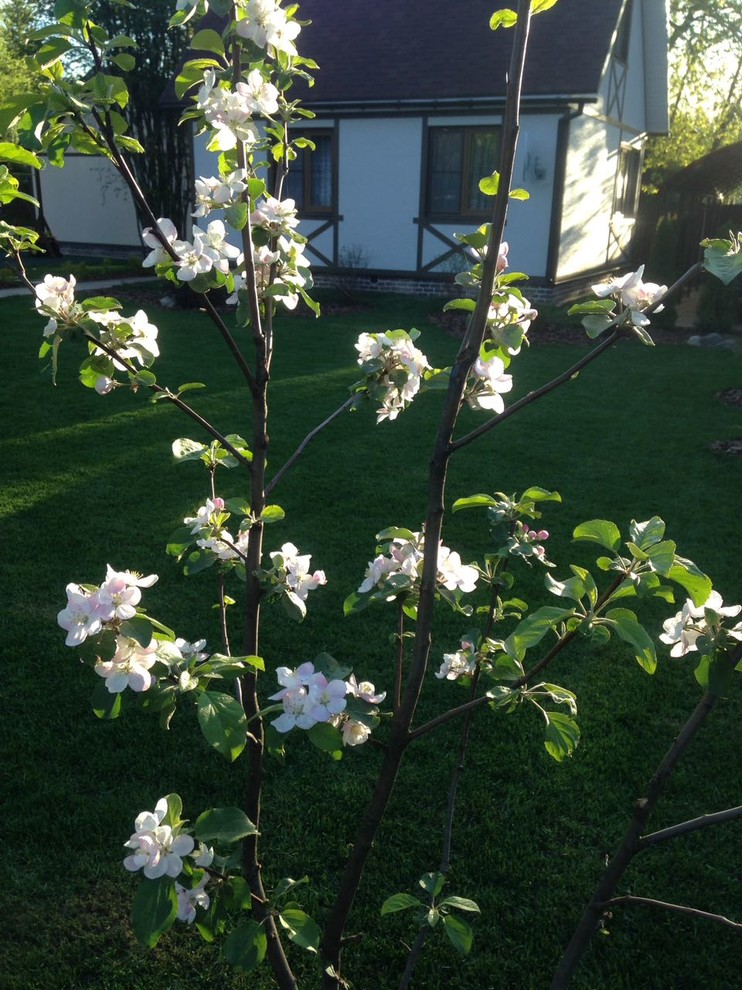 д. Рассудово