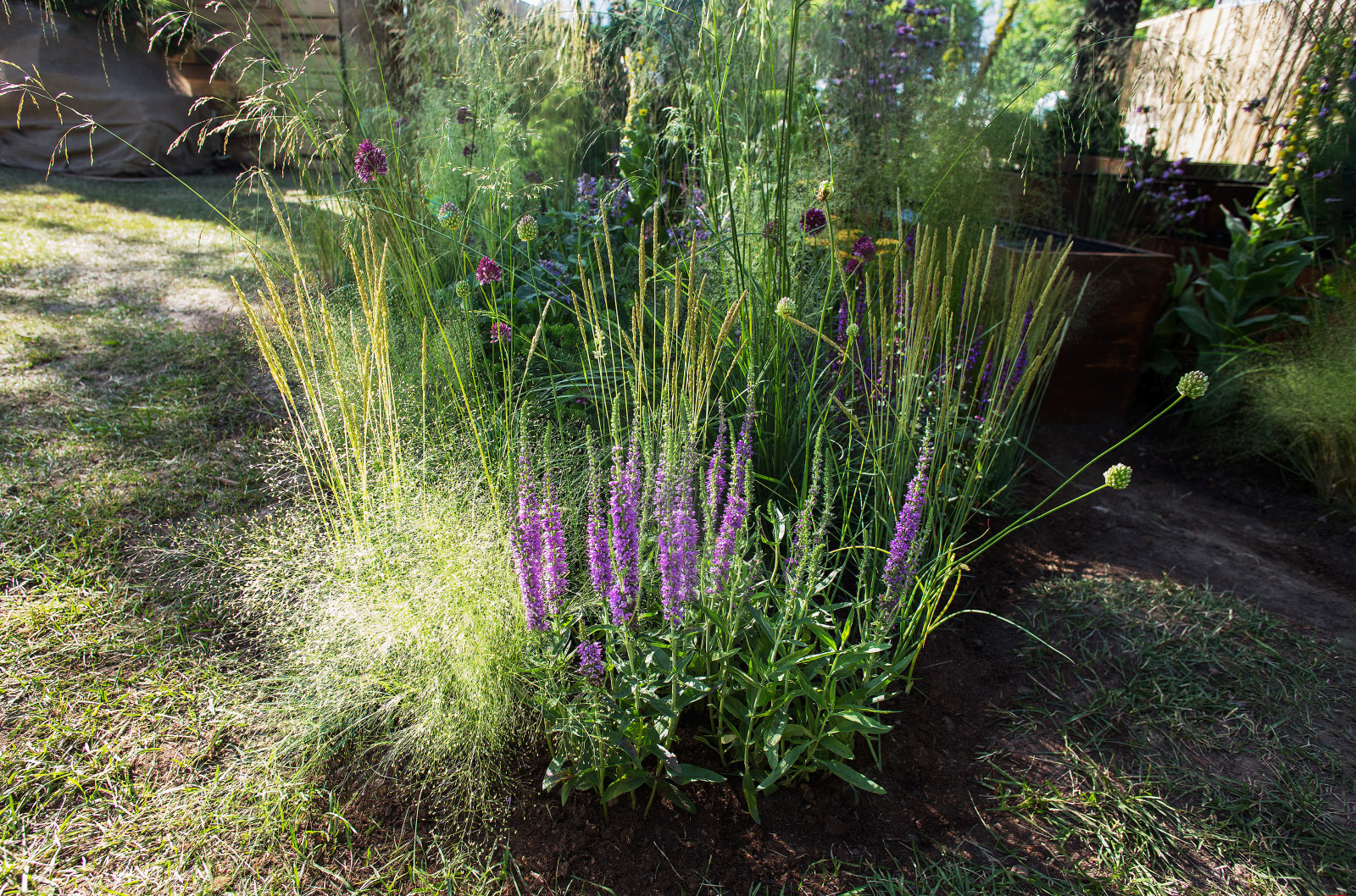 Обложка проекта: Сад James Alexander-Sinclair на Moscow Flower Show 2018 (вне конкрса)