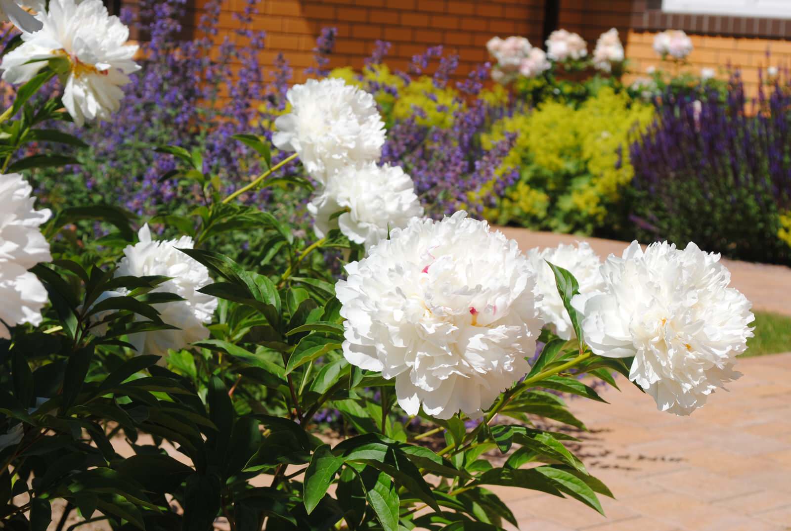 КП Зеленый мыс