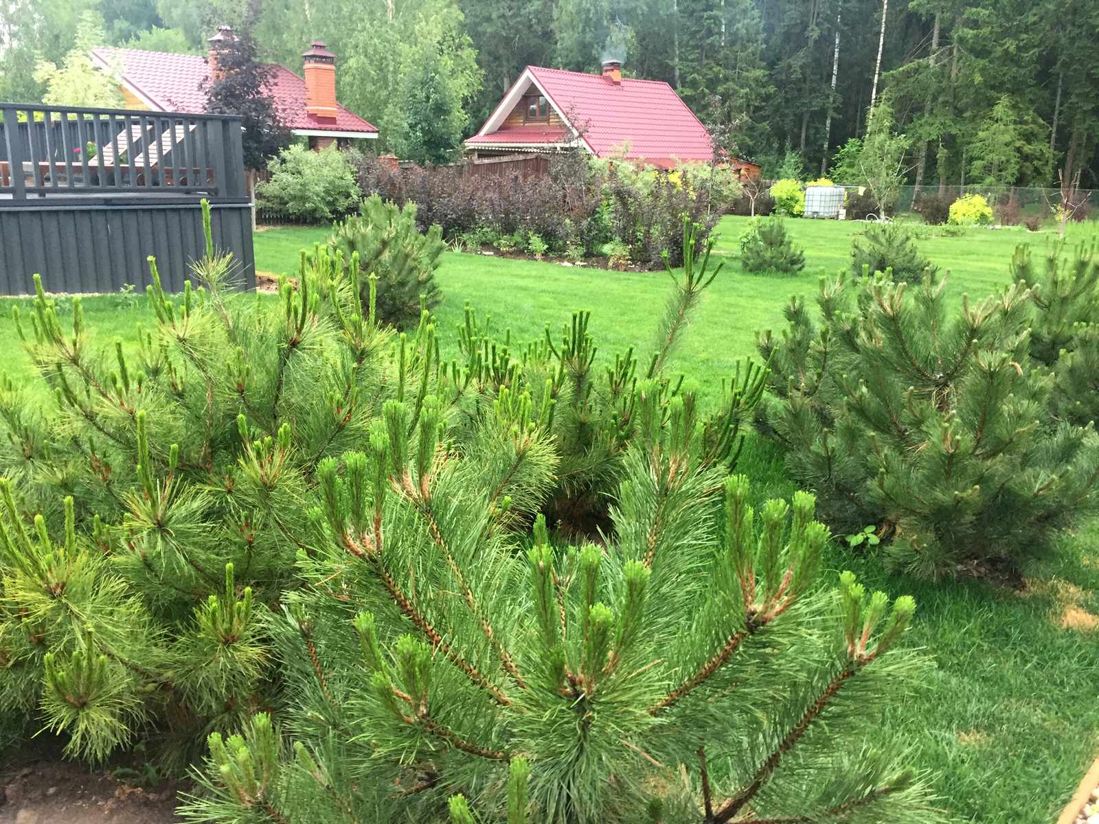 Дом под Рузой