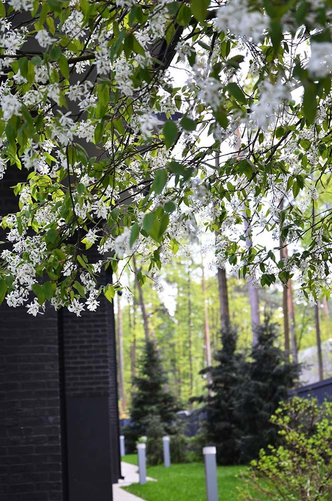 Сад пять уровней комфорта