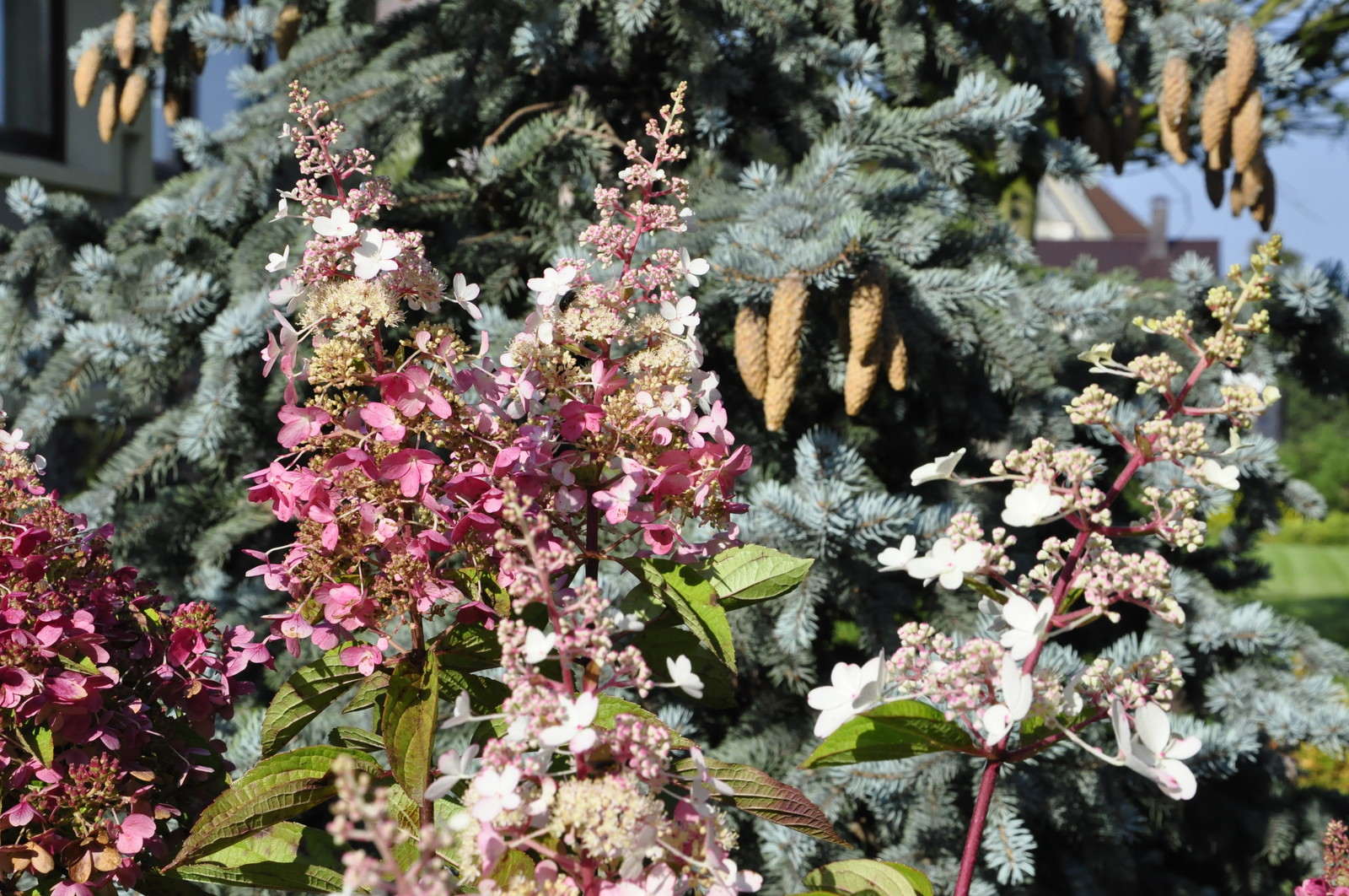 кп "Бенелюкс" - Уход за садом - 100% качество