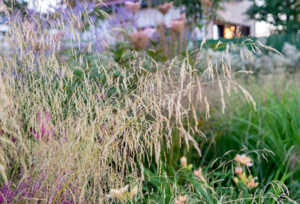 Дергаево - Цвет и нежность