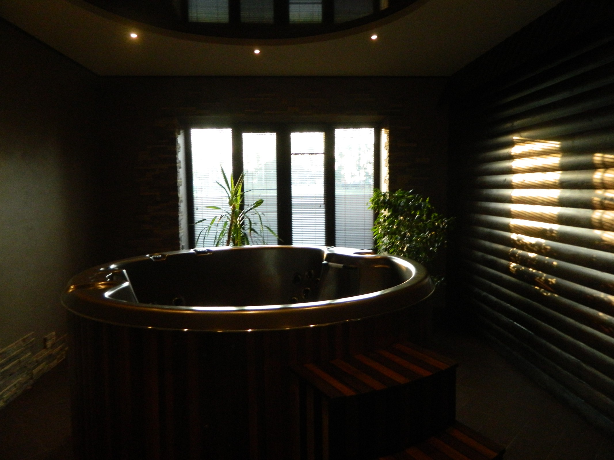 Комната отдыха с Сауной и Джакузи