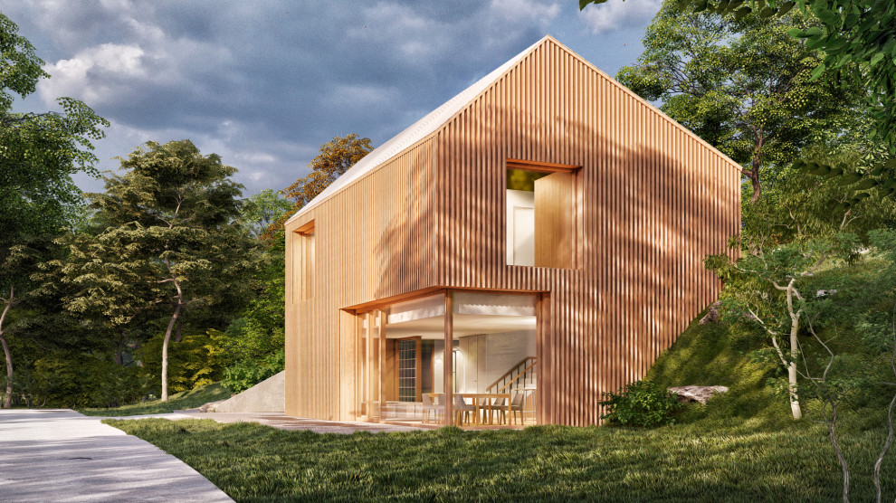 Зарождение