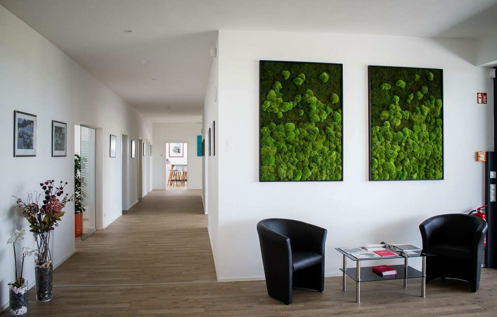 Обложка проекта: Фитопанно "Исландский мох"