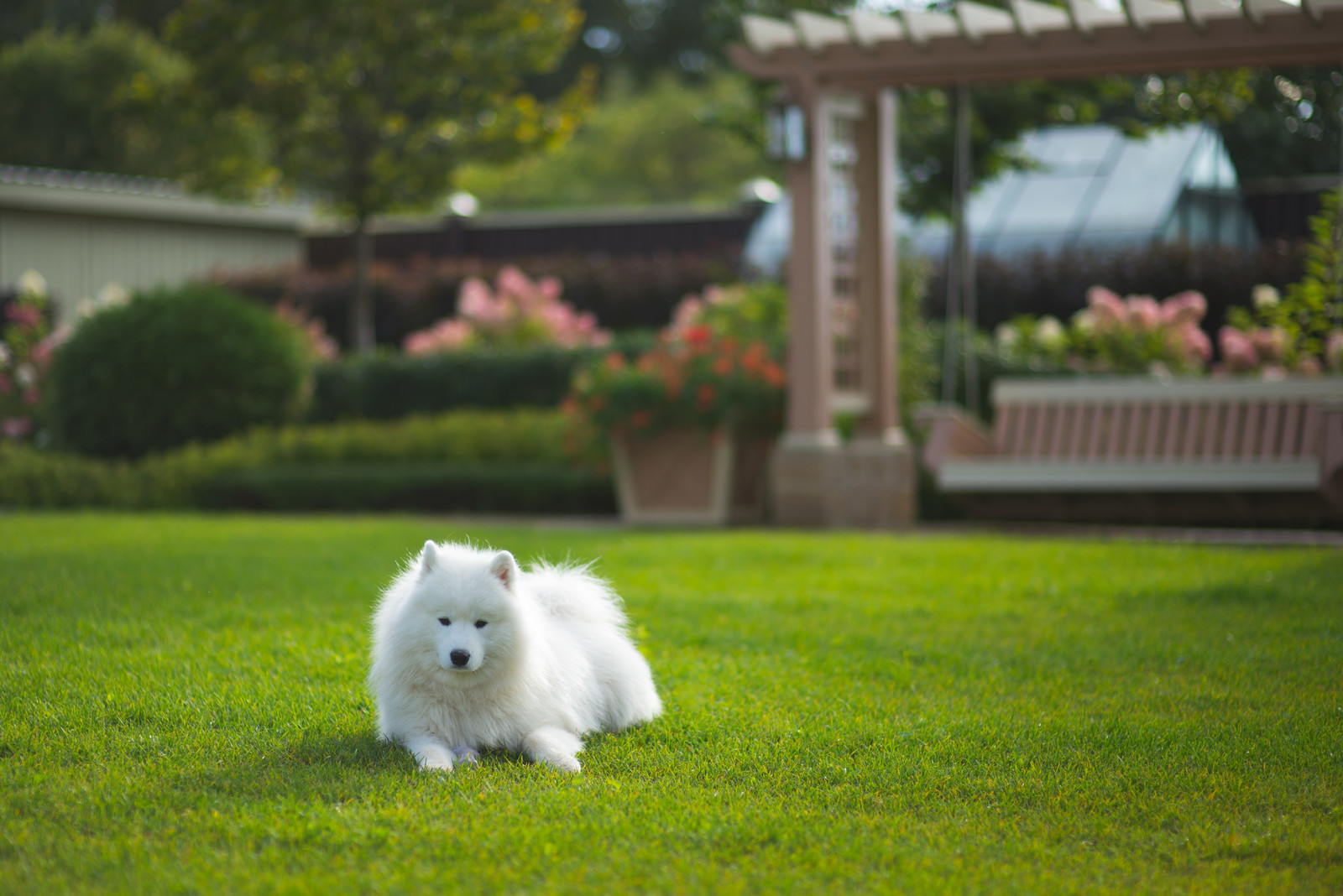 Регулярная классика