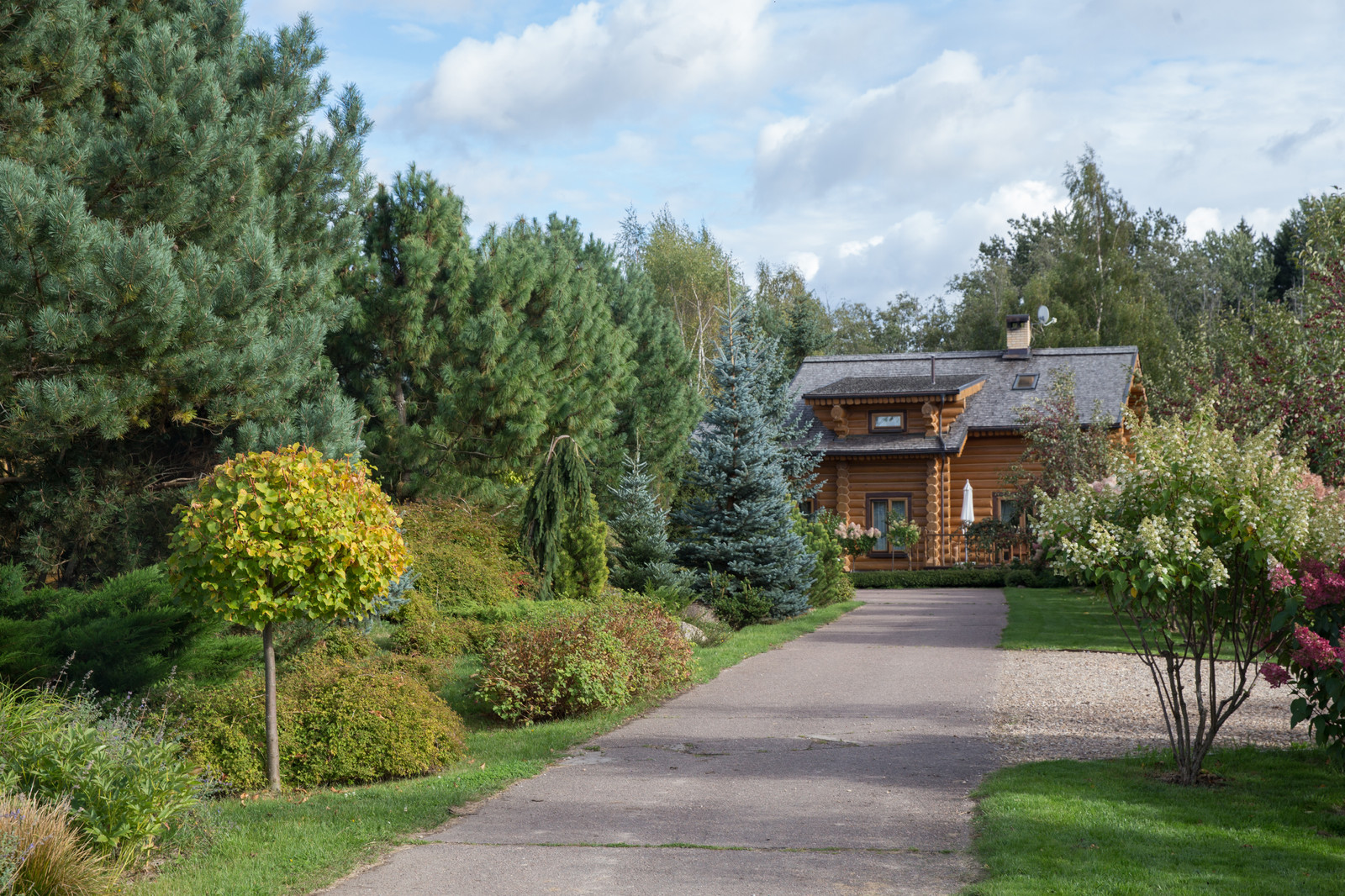 Парк в  Шаховском районе