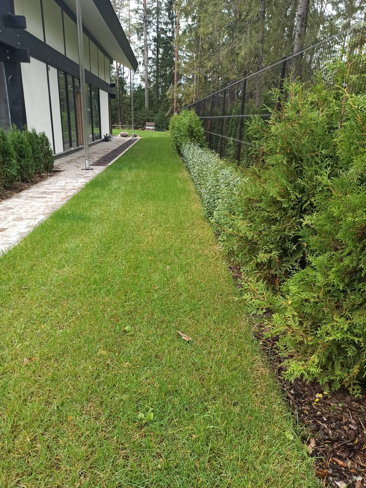 Ленинское-Репино