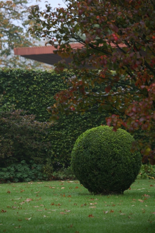 Стрижка кустов и деревьев: Азы выбора растений, алгоритм работ