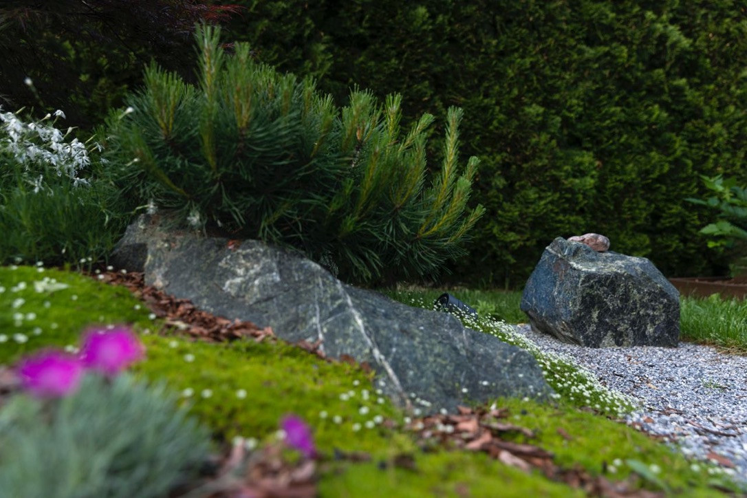 Элемент времени