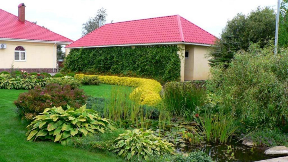 "Северное сияние"