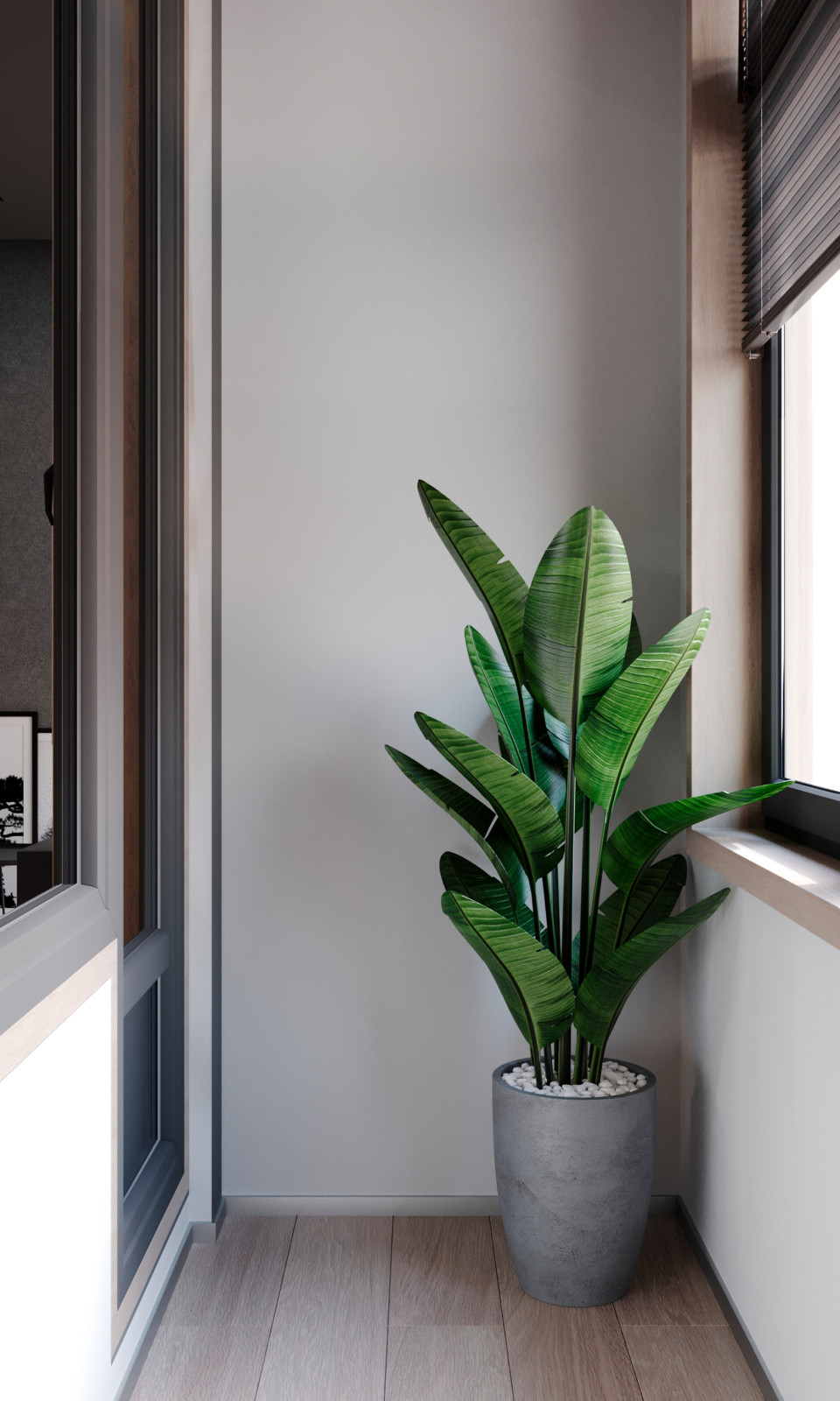 Квартира Холостяка