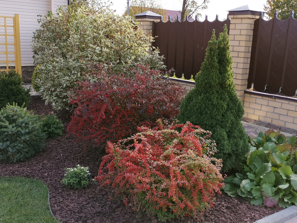 Обложка проекта: Кокшайск Марий Эл. Пергола – качель, шпалерный забор и обновление участка.