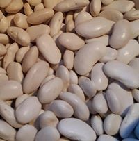 Фасоль Белая