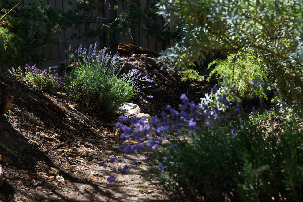 Сад Прометей - Сад, пробуждающий чувства -  The Garden that awakens feelings