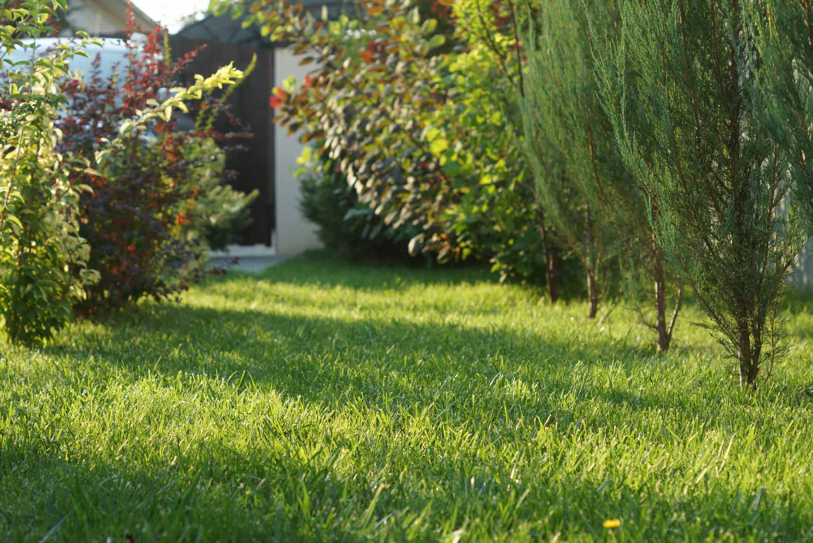 Дом в восточно-европейском стиле