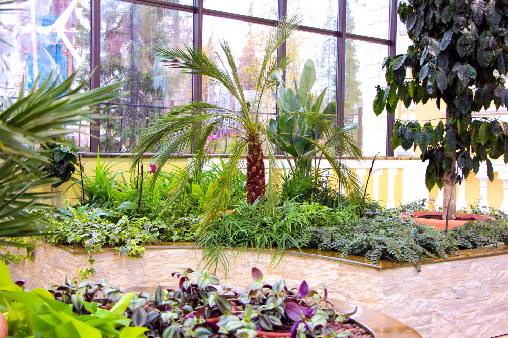 Мурманск, зимний сад