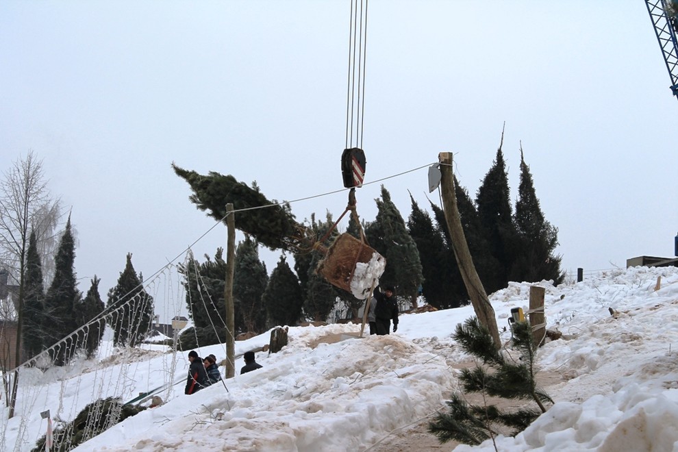 Крупномеры. Летом и зимой