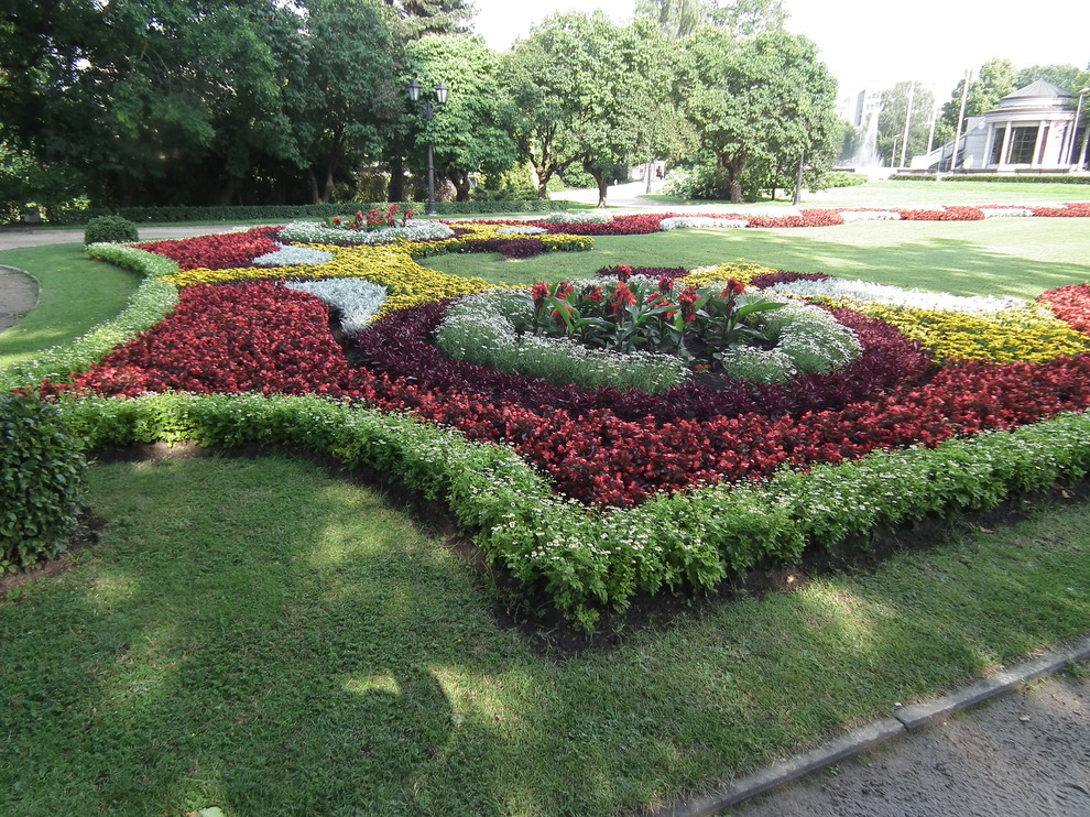 Выполненные работы