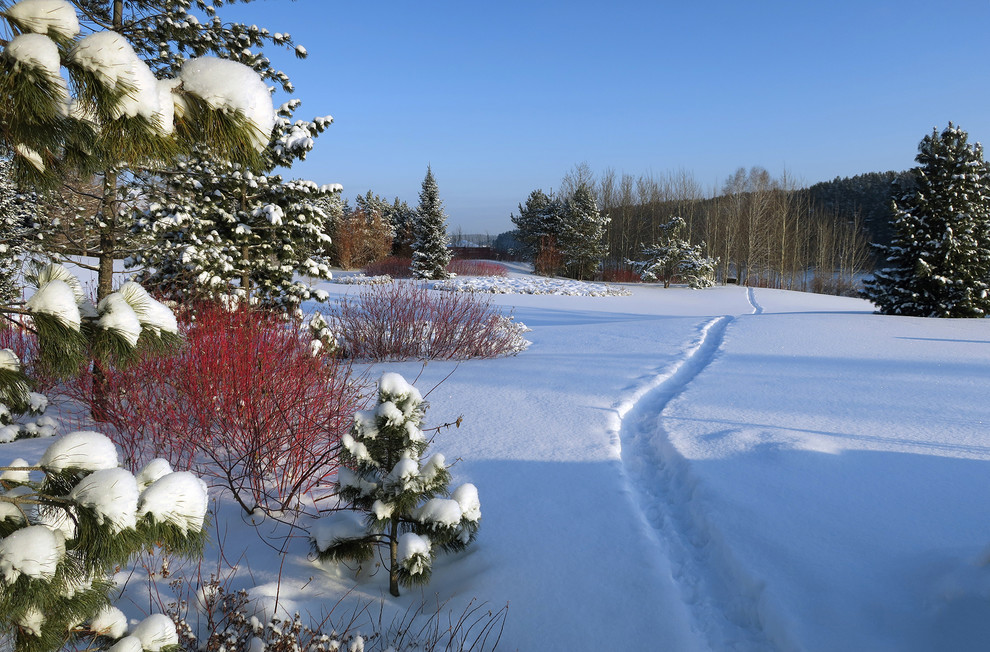Новый пейзаж