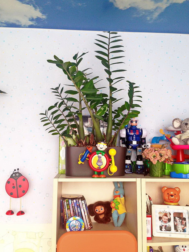 Озеленение частных квартир