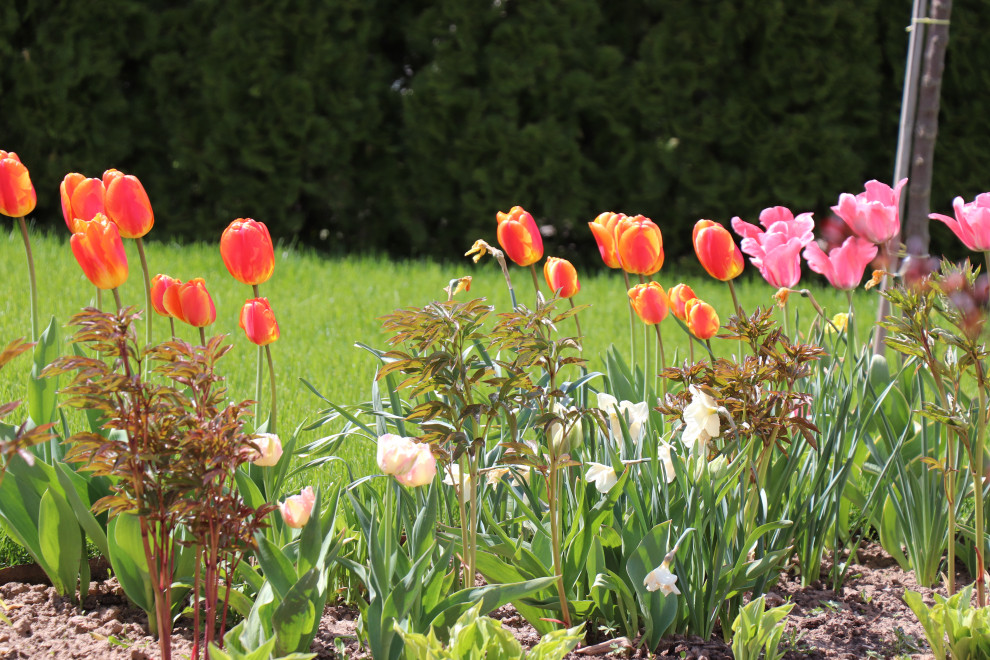 Весна 2020 Сосновые берега