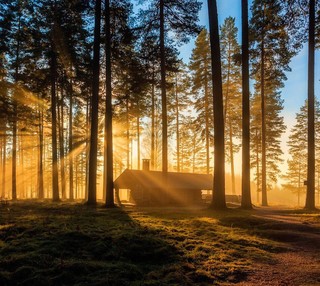 Николай Позняк