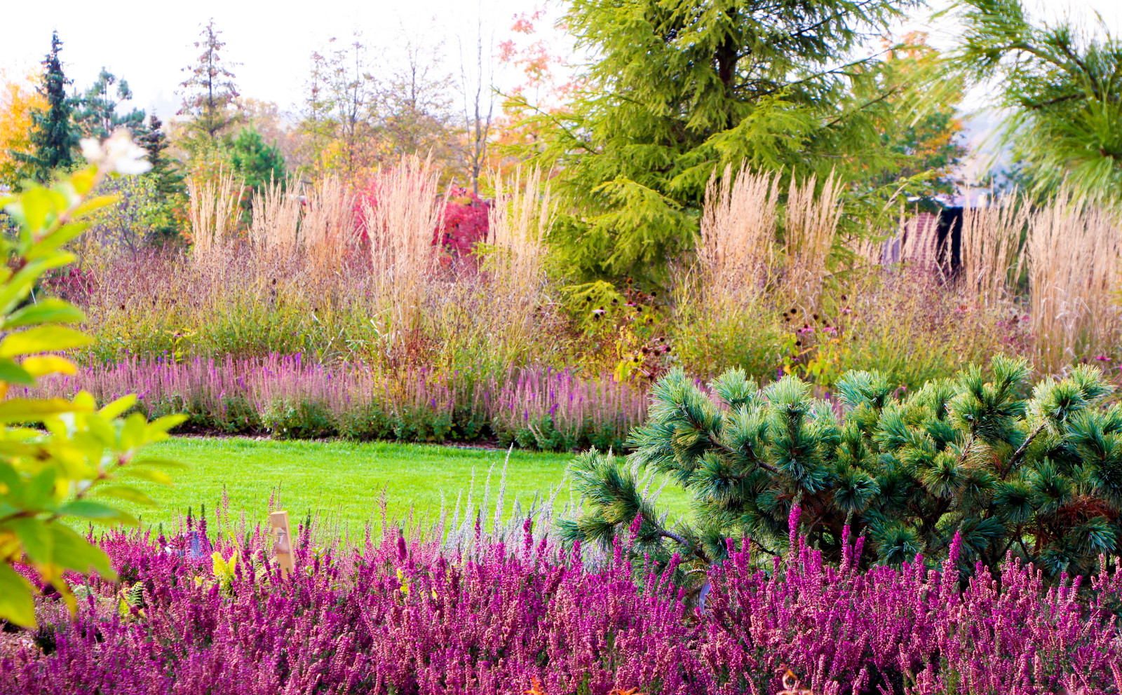 Горки-10, 2017-2020 г.г.