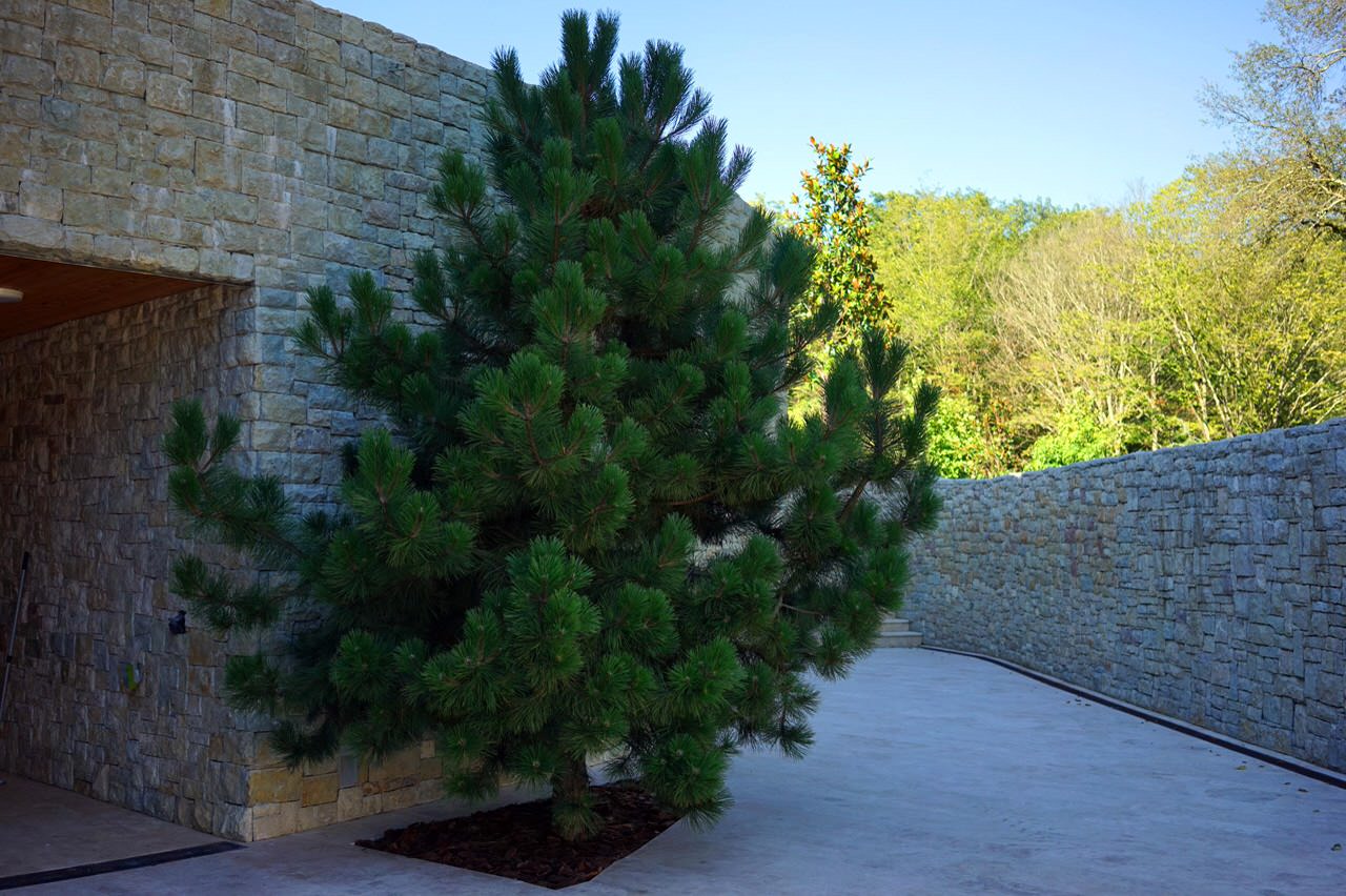 Лазурный Берег Сочи