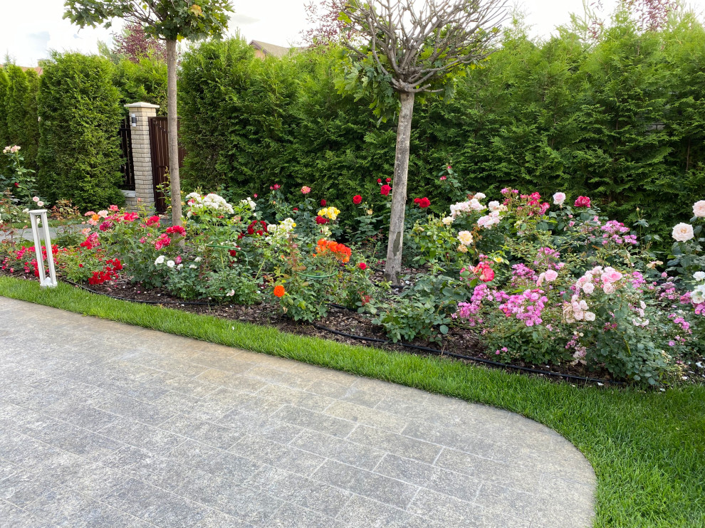 КП Пестово "Evergreen'