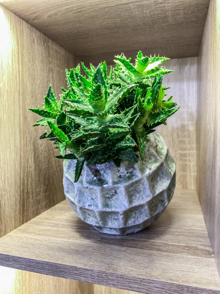 Частный дом