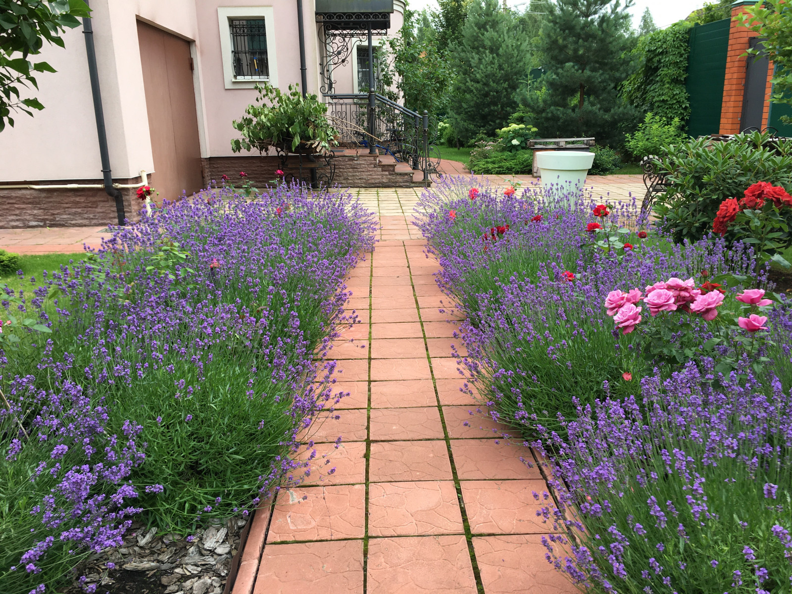 Французский садик в поселке Рыбаки Дмитровское шоссе