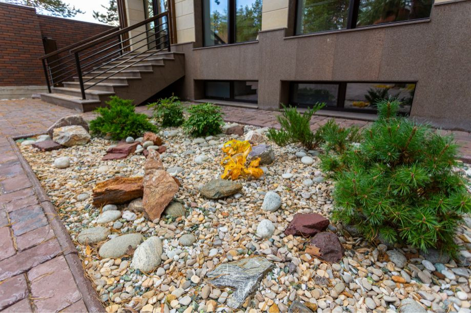 Портфолио Drevos